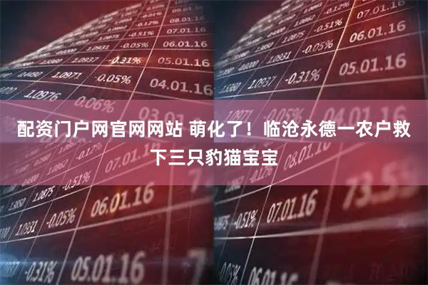 配资门户网官网网站 萌化了！临沧永德一农户救下三只豹猫宝宝